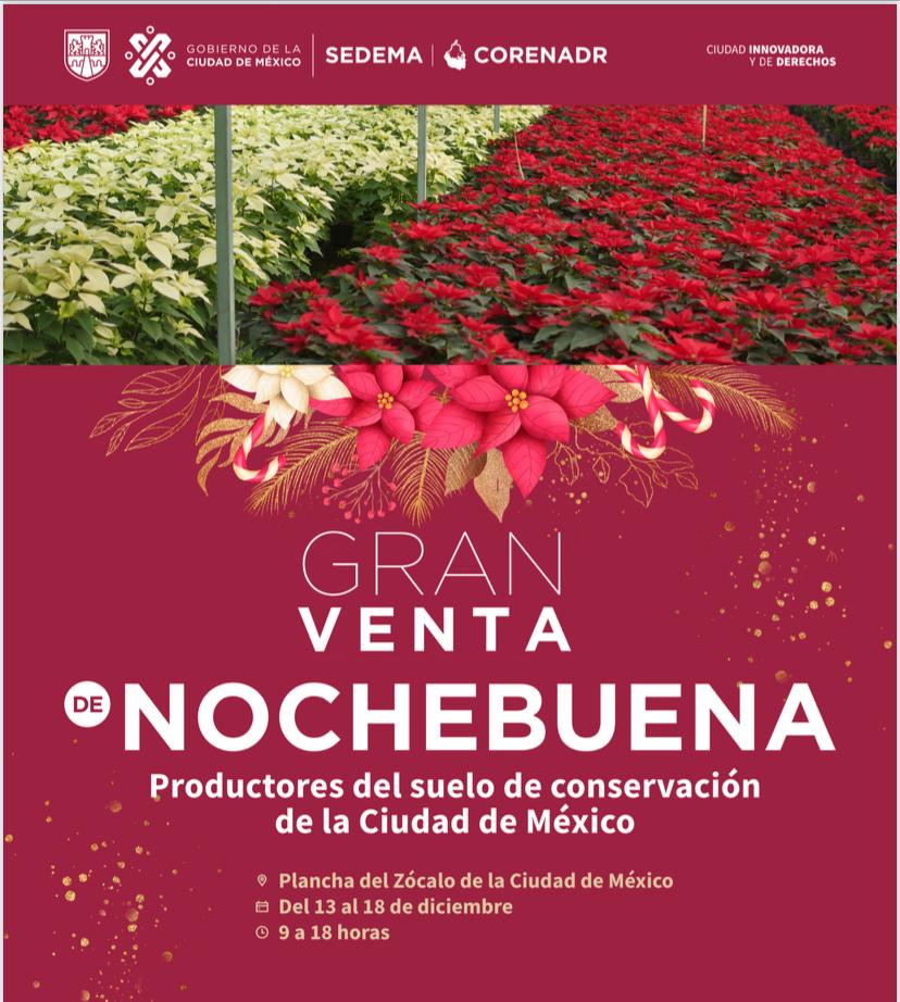 Realizan productores de Xochimilco gran venta de flor de nochebuena en el  Zócalo Capitalino