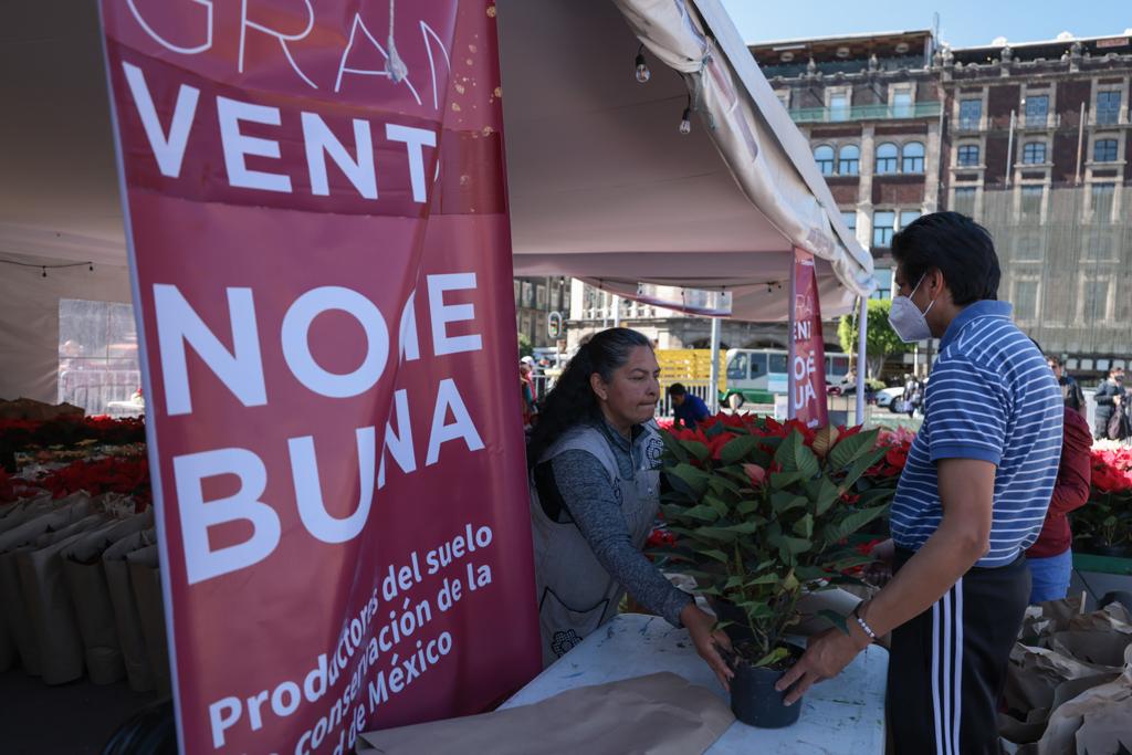 Realizan productores de Xochimilco gran venta de flor de nochebuena en el  Zócalo Capitalino