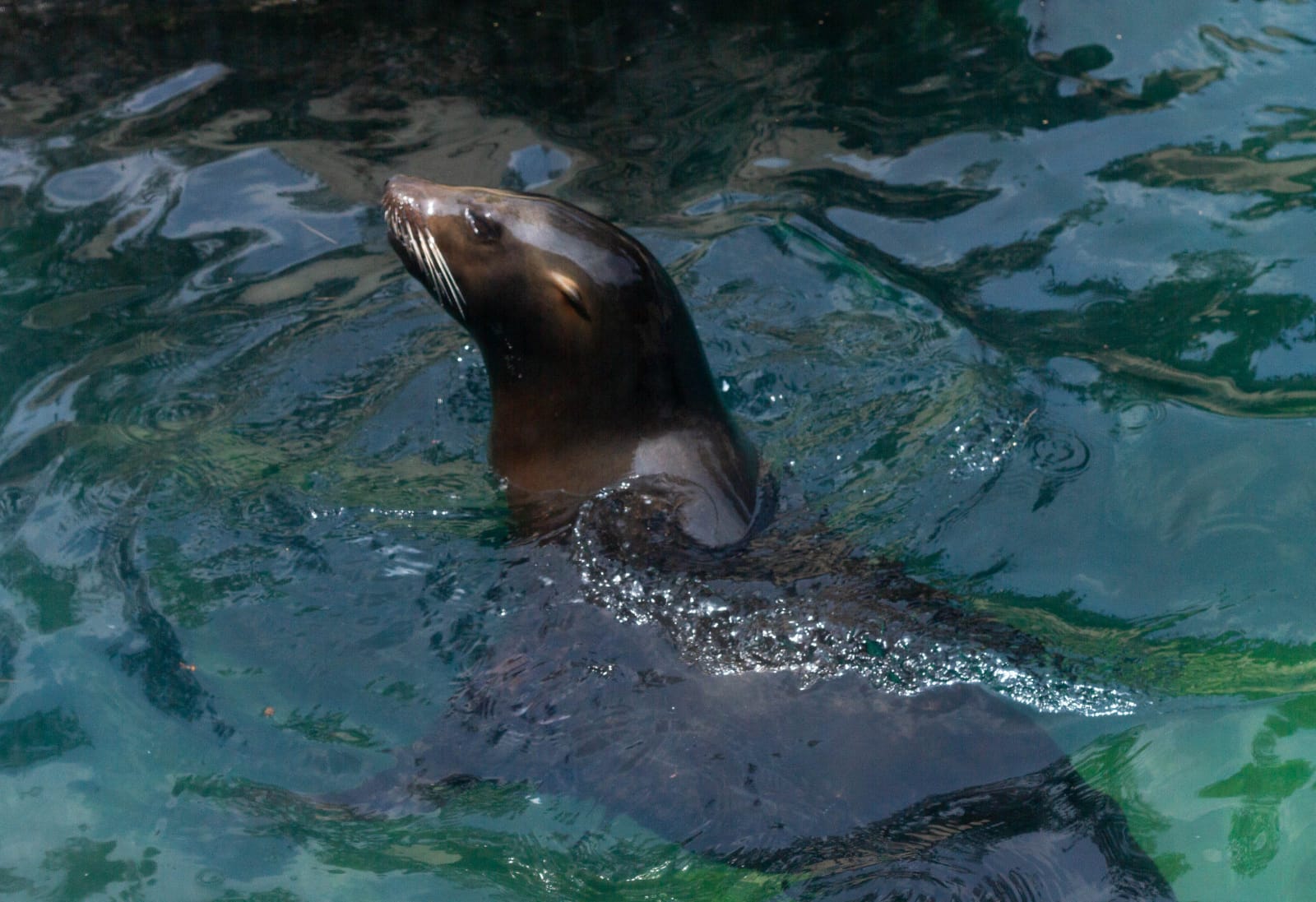 WhatsApp Image 2023-07-20 at 9.16.23 PM.jpeg