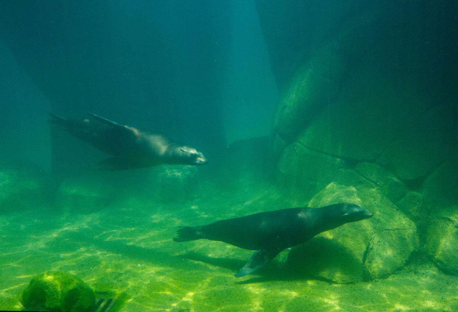 WhatsApp Image 2023-07-20 at 9.16.24 PM.jpeg