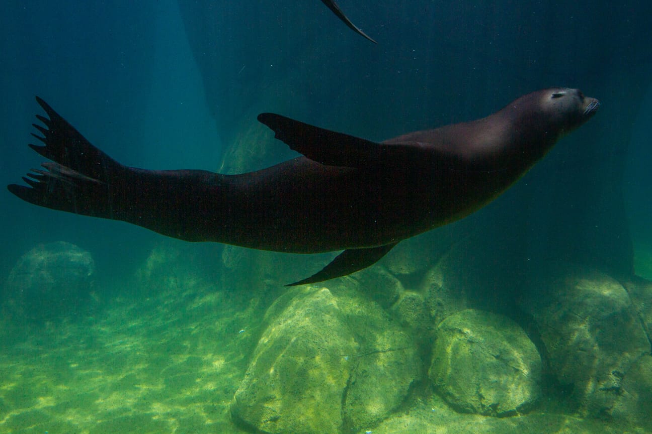 WhatsApp Image 2023-07-20 at 9.16.24 PM (1).jpeg