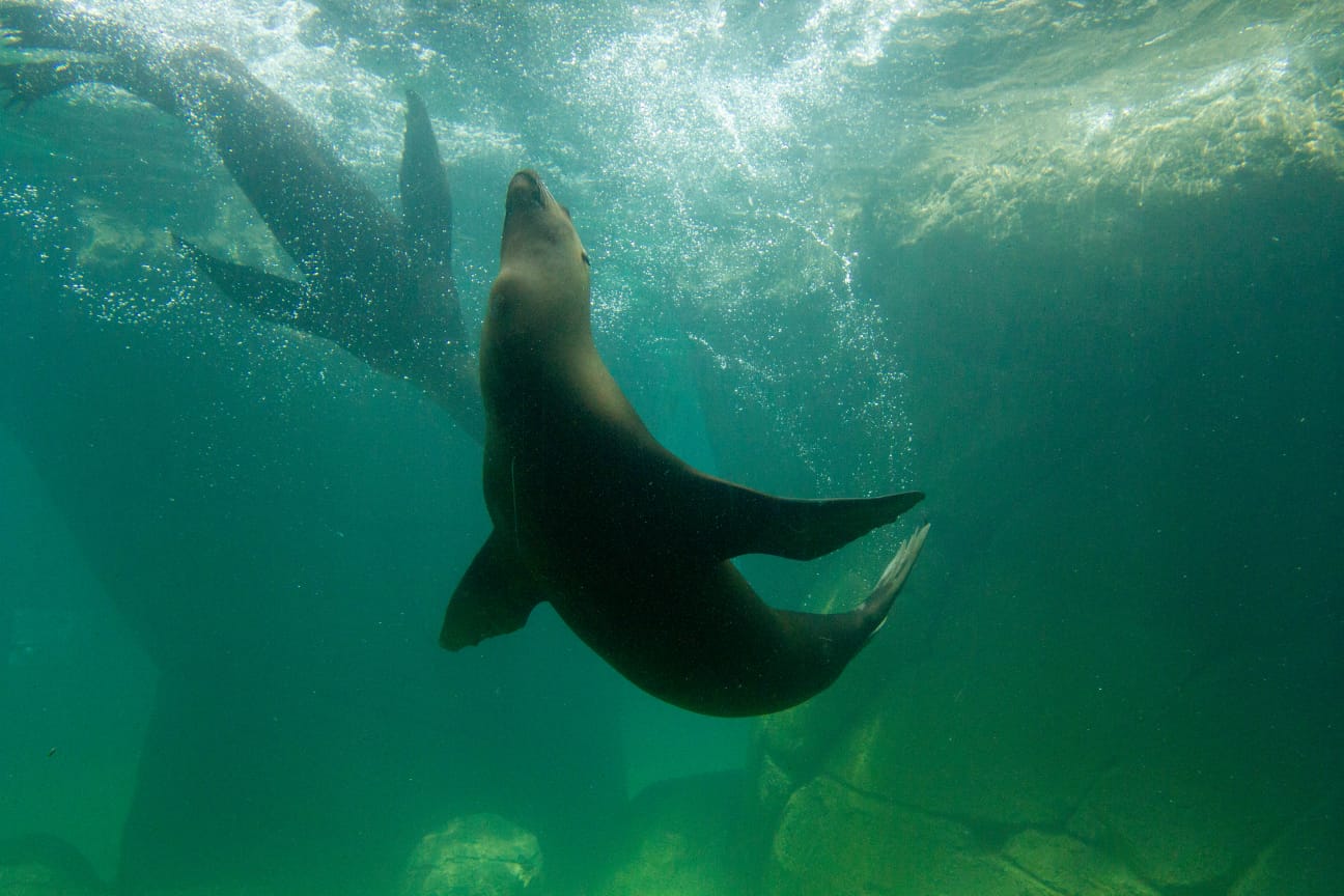 WhatsApp Image 2023-07-20 at 9.16.25 PM.jpeg