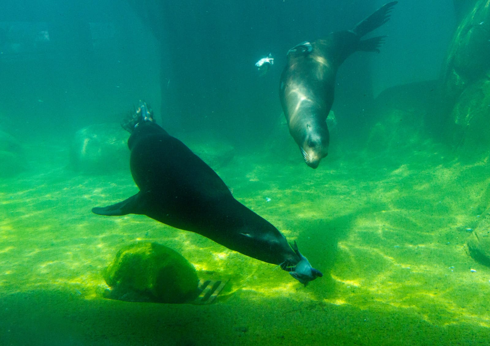 WhatsApp Image 2023-07-20 at 9.16.25 PM (1).jpeg