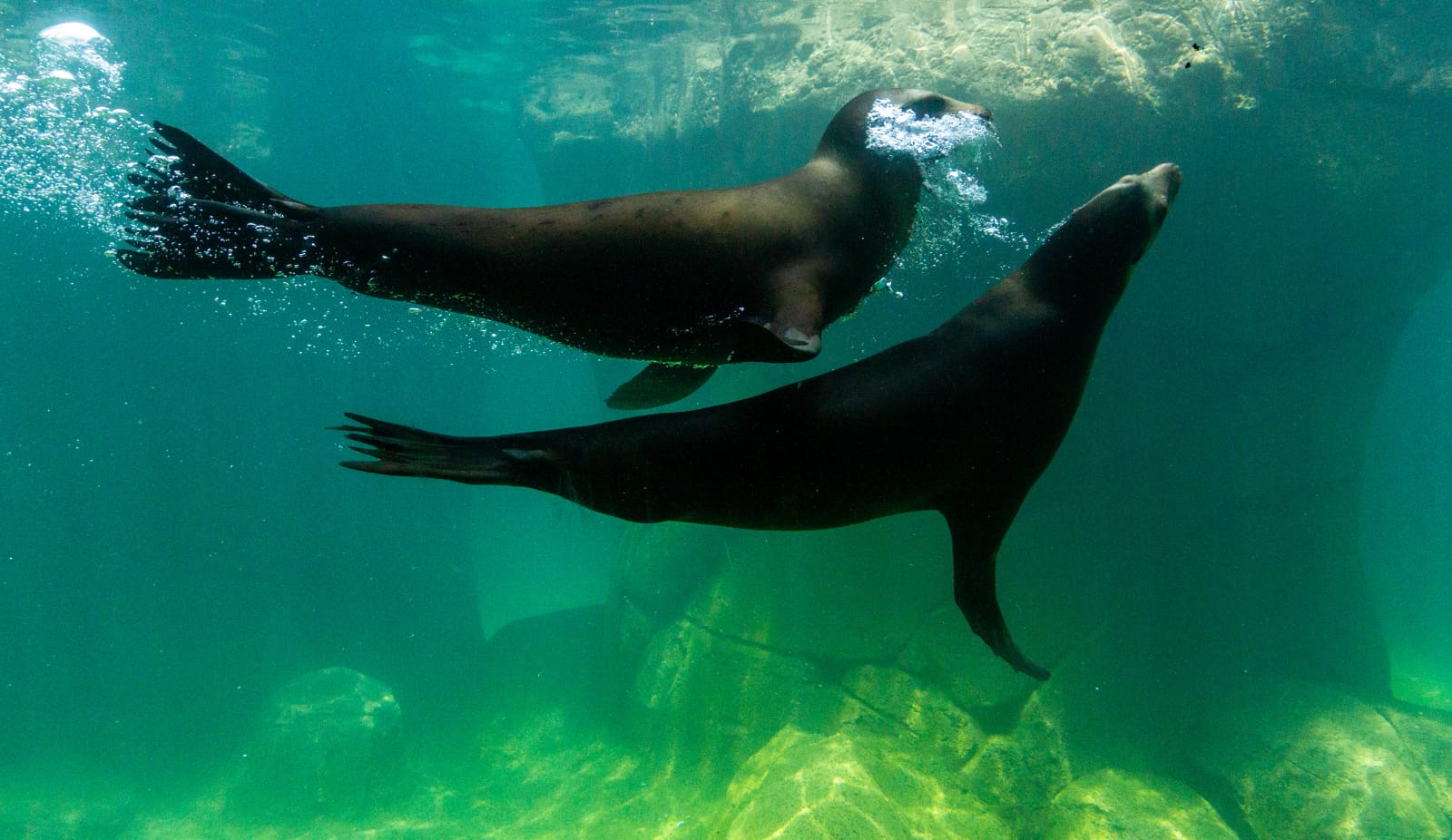 WhatsApp Image 2023-07-20 at 9.16.28 PM.jpeg