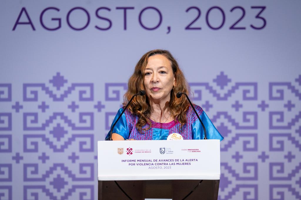 FOTO - INFORME MENSUAL DE AVANCES DE LA ALERTA POR VIOLENCIA CONTRA LAS MUJERES DE LA CUIDAD DE MÉXICO (3).jpeg