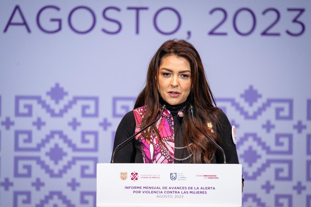 FOTO - INFORME MENSUAL DE AVANCES DE LA ALERTA POR VIOLENCIA CONTRA LAS MUJERES DE LA CUIDAD DE MÉXICO (4).jpeg