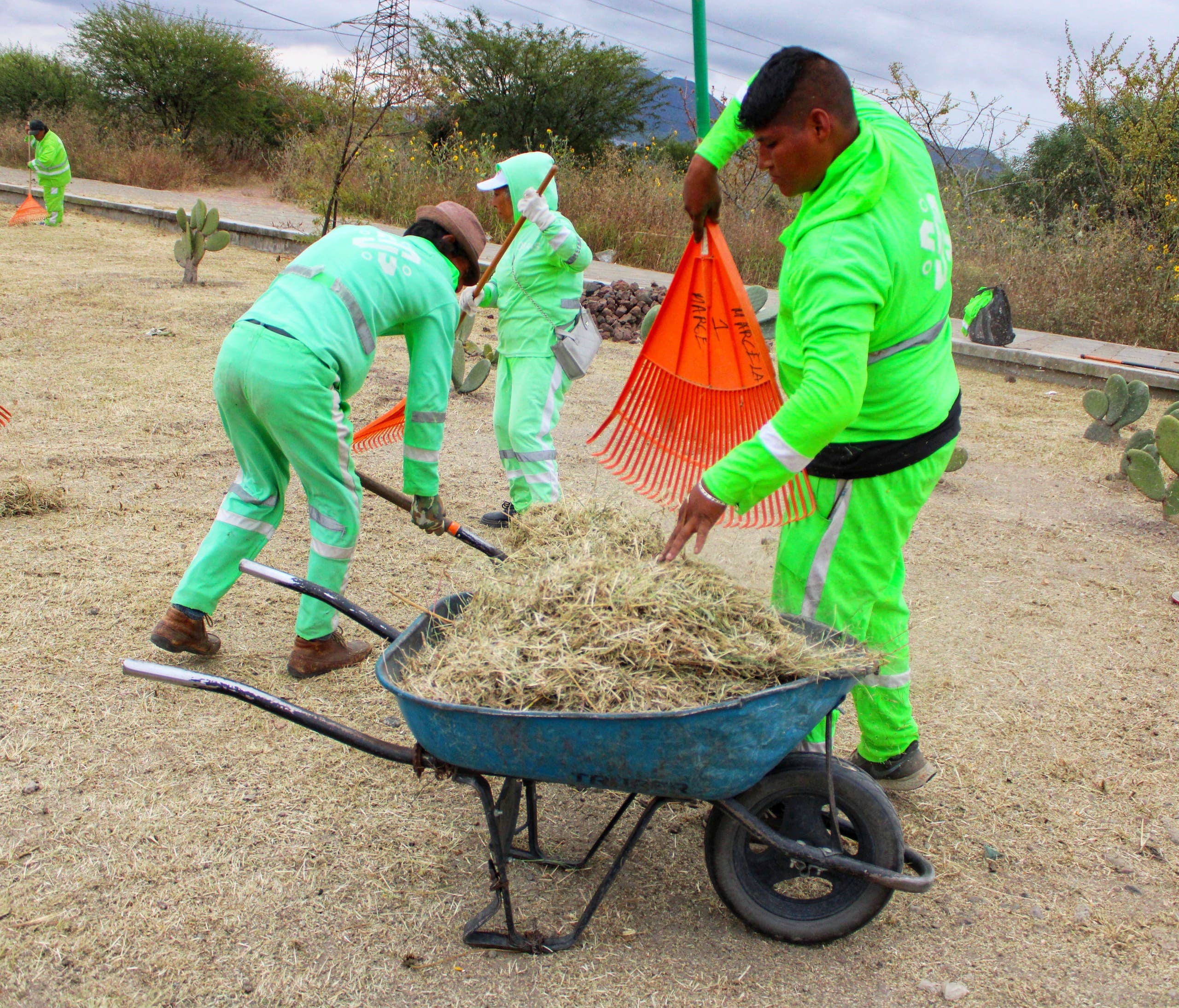 PARQUE ECOLÓGICO CUITLÁHUAC (5).jpeg