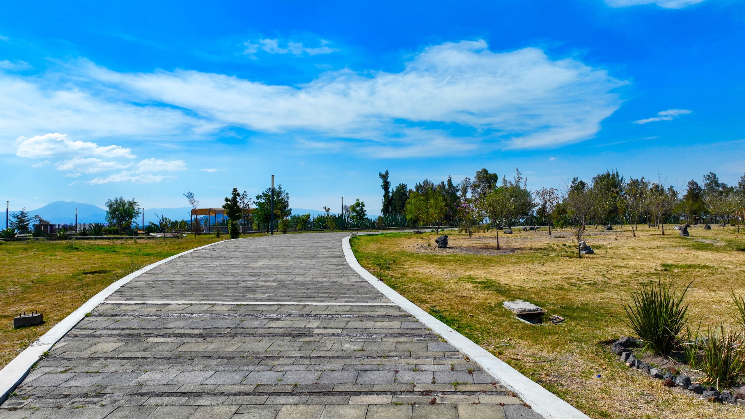 PARQUE ECOLÓGICO CUITLÁHUAC (13).jpeg