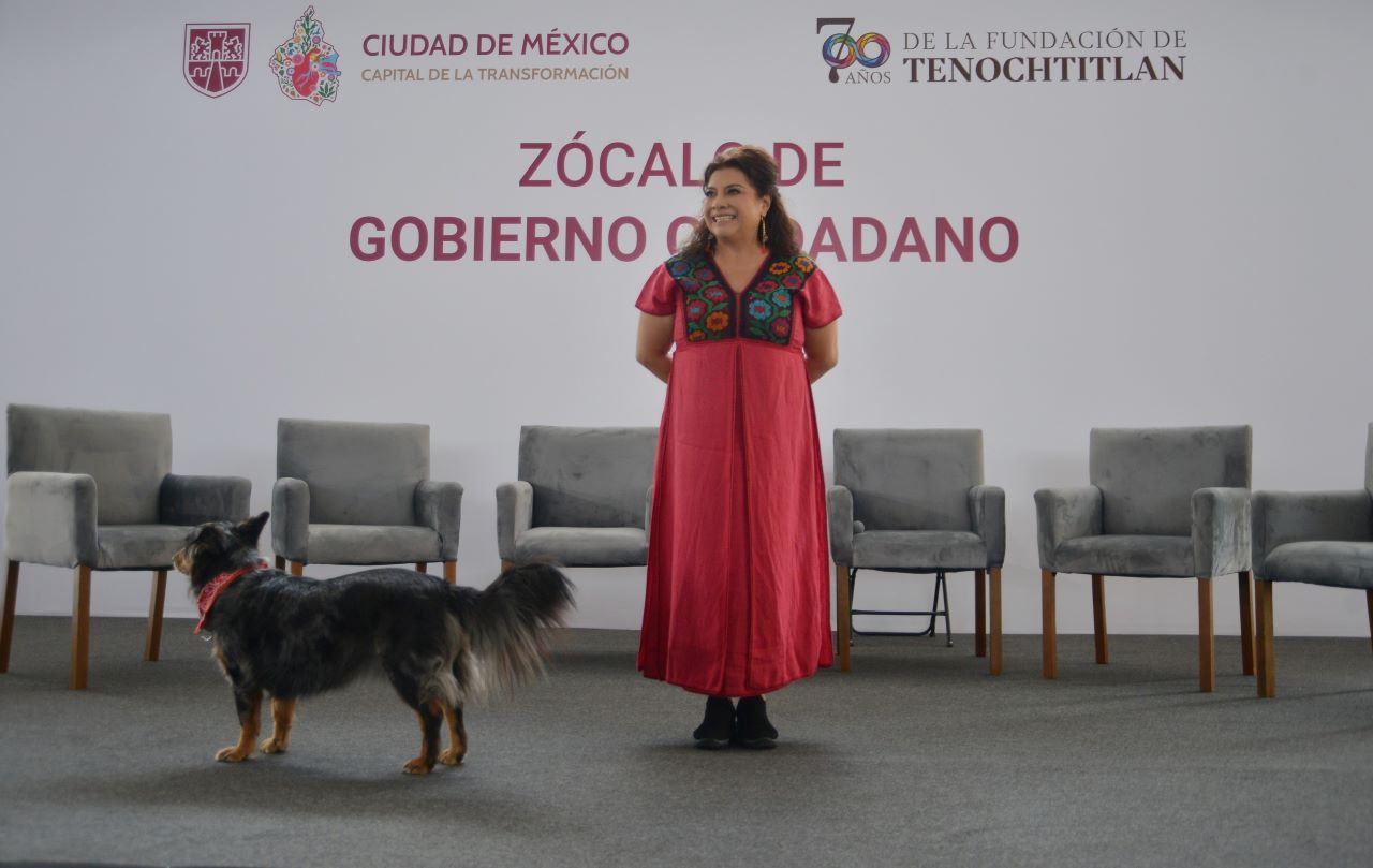 chikis 5.jpg