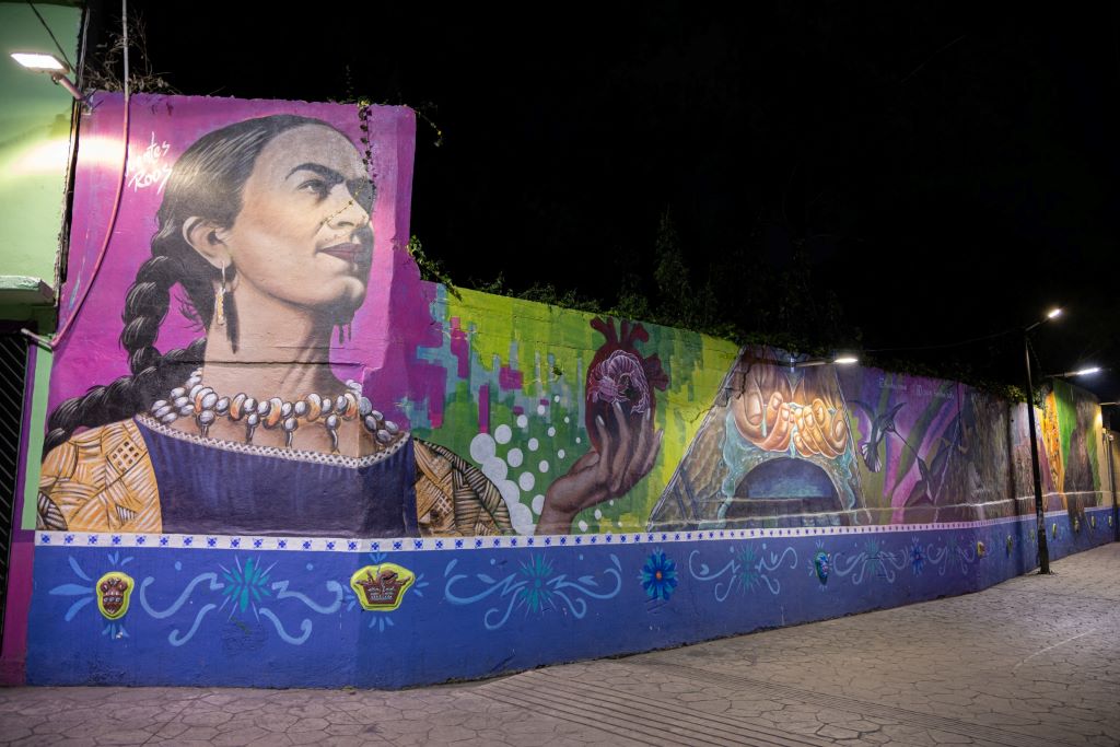 frida chiki.jpg